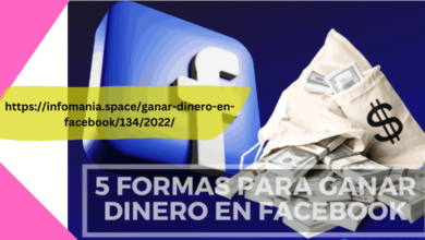 httpsinfomania.spaceganar-dinero-en-facebook1342022
